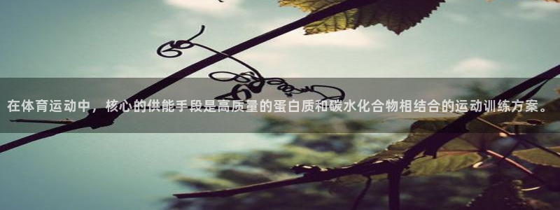 中欧体育zoty下载