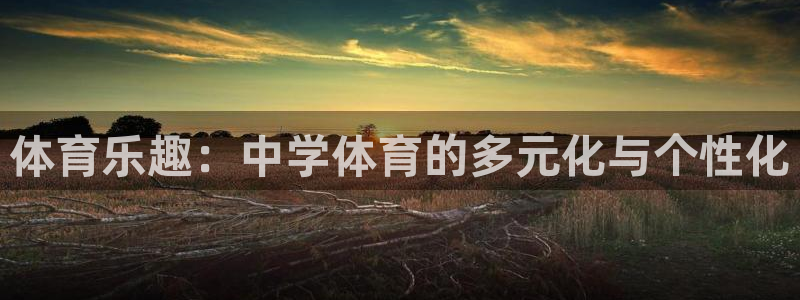 中欧体育(zoty)官网