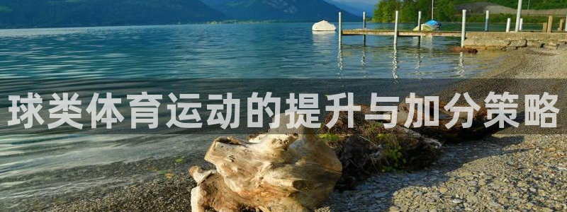 zoty中欧体育平台