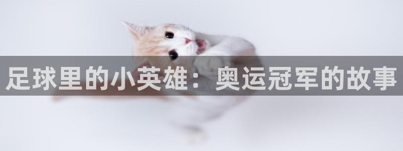 中欧体育官网