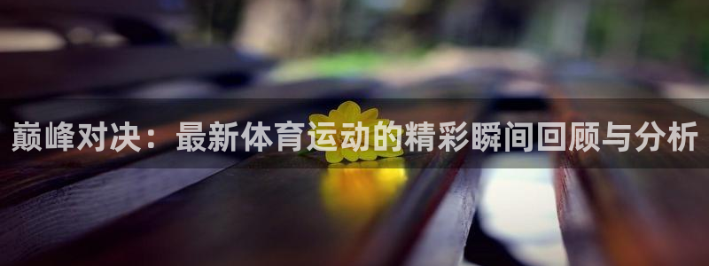 中欧体育