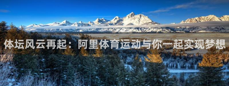 kok中欧体育