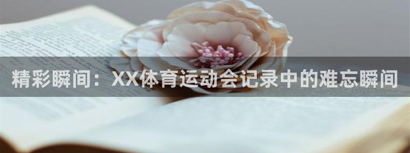 kok中欧体育登录